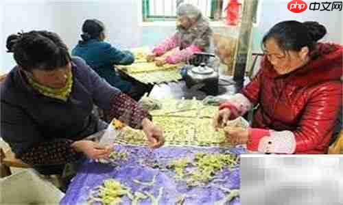 中草药入门指南