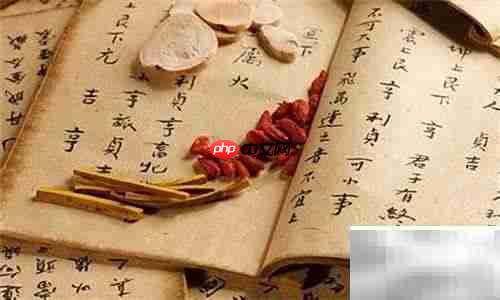 中草药入门指南