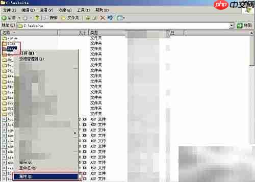 Win2003搭建ASP本地论坛