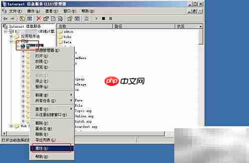 Win2003搭建ASP本地论坛
