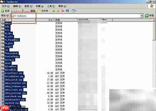 Win2003搭建ASP本地论坛