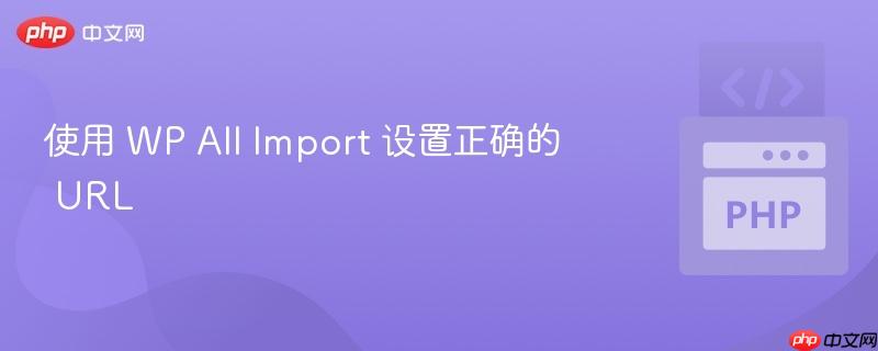 使用 WP All Import 设置正确的 URL