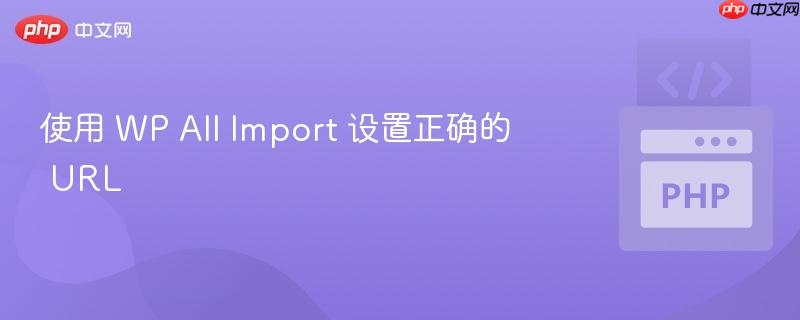 使用 wp all im<em></em>port 设置正确的 url