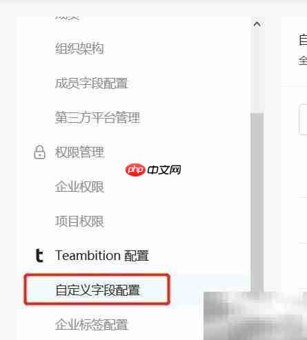 Teambition删除企业字段方法