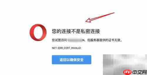 Opera提示连接不私密?解决方法