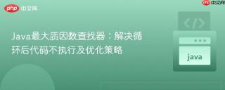 Java最大质因数查找器：解决循环后代码不执行及优化策略
