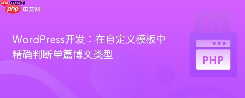 WordPress开发：在自定义模板中精确判断单篇博文类型