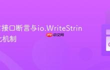 Go语言接口断言与io.WriteString的优化机制