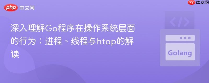 深入理解Go程序在操作系統(tǒng)層面的行為：進(jìn)程、線程與htop的解讀