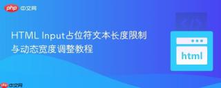 HTML Input占位符文本长度限制与动态宽度调整教程