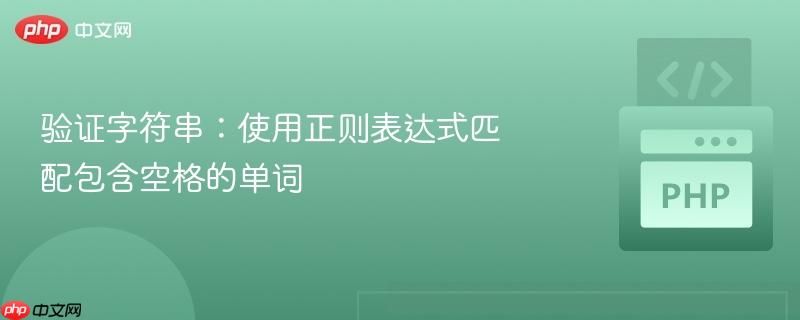 验证字符串：使用正则表达式匹配包含空格的单词