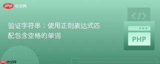 验证字符串：使用正则表达式匹配包含空格的单词
