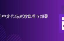 Go 项目中非代码资源管理与部署策略