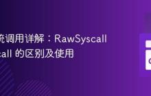 Go 系统调用详解：RawSyscall 与 Syscall 的区别及使用