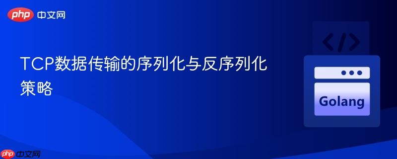 TCP数据传输的序列化与反序列化策略