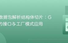 从网络数据包解析结构体切片：Go 语言的接口与工厂模式应用