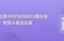 解决浏览器中NPM包的ES模块导入错误：教程与最佳实践