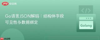 Go语言JSON解码：结构体字段可见性与数据绑定
