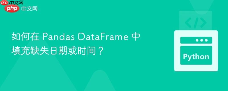如何在 pandas dataframe 中填充缺失日期或时间?