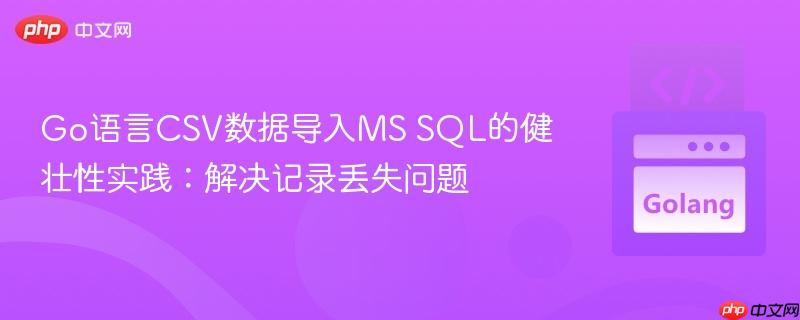 Go语言CSV数据导入MS SQL的健壮性实践:解决记录丢失问题