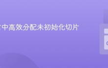 Go语言中高效分配未初始化切片的方法