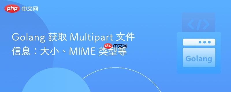 golang 获取 multipart 文件信息:大小、mime 类型等