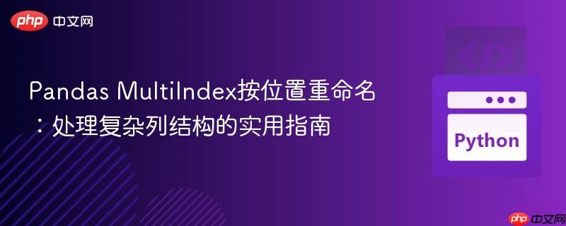 Pandas MultiIndex按位置重命名：处理复杂列结构的实用指南

