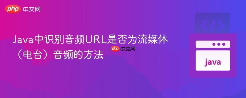 Java中识别音频URL是否为流媒体（电台）音频的方法