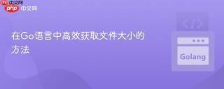 在Go语言中高效获取文件大小的方法