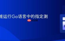 如何精准运行Go语言中的指定测试用例
