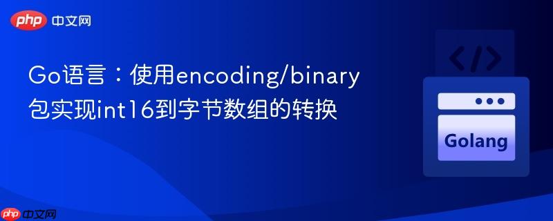 Go语言:使用encoding/binary包实现int16到字节数组的转换