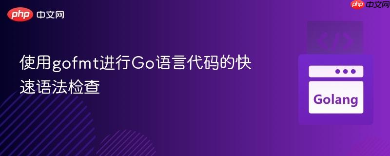 使用gofmt进行Go语言代码的快速语法检查