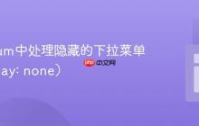 Selenium中处理隐藏的下拉菜单（display: none）