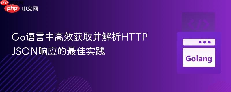 Go语言中高效获取并解析HTTP JSON响应的最佳实践