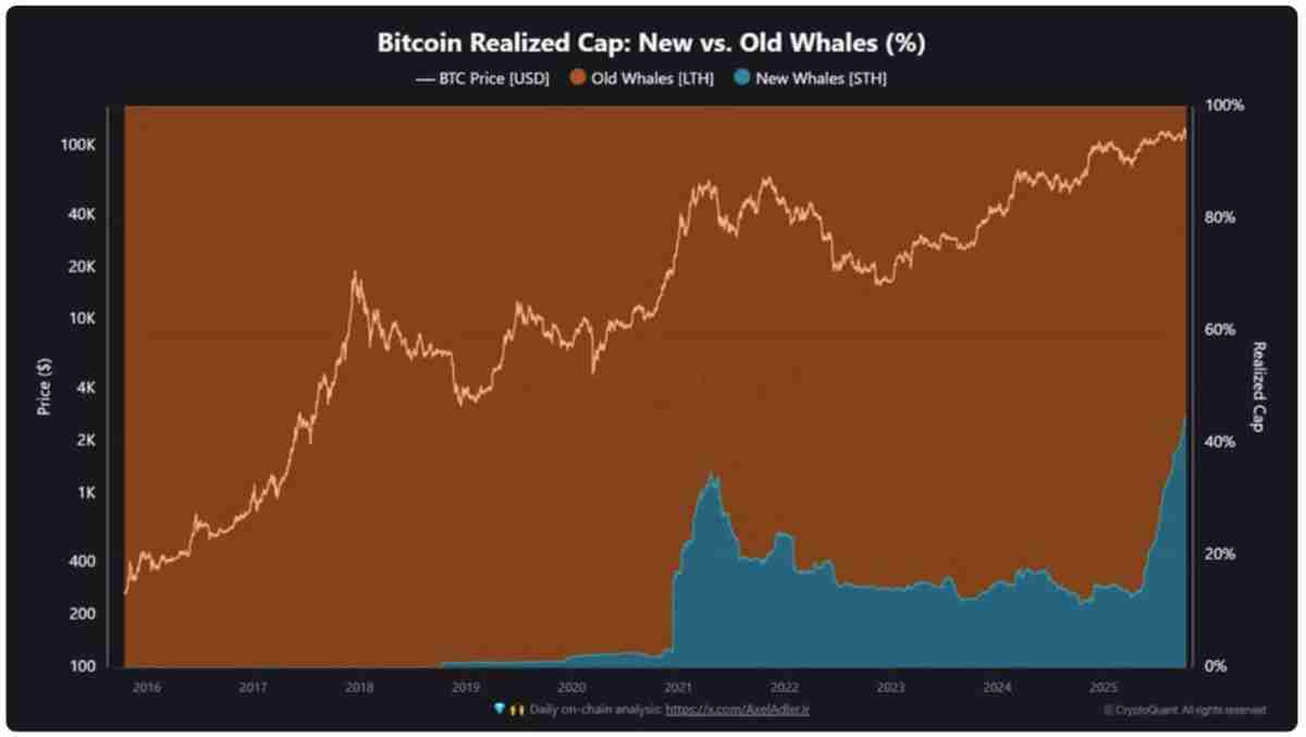一文了解比特币(BTC)指标显示“狂热期”,11.25万美元价位令新买家承压
