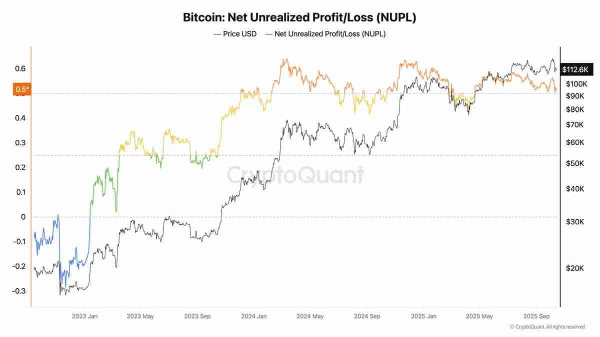 一文了解比特币(BTC)指标显示“狂热期”,11.25万美元价位令新买家承压