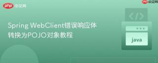 Spring WebClient错误响应体转换为POJO对象教程