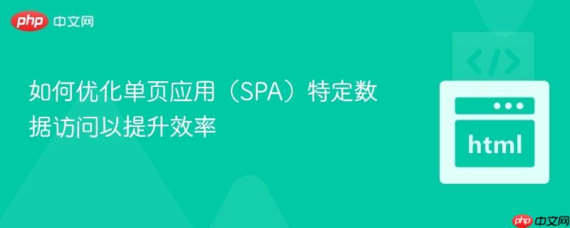 如何优化单页应用(SPA)特定数据访问以提升效率
