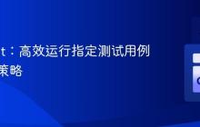 Go Test：高效运行指定测试用例的两种策略