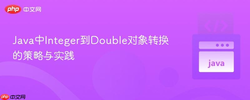 Java中Integer到Double对象转换的策略与实践