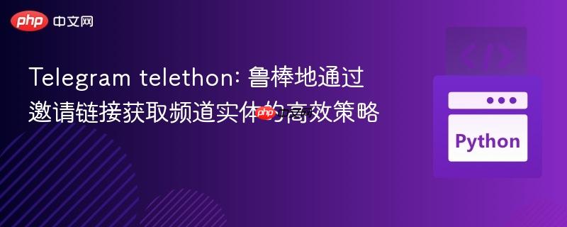 Telegram telethon: 鲁棒地通过邀请链接获取频道实体的高效策略
