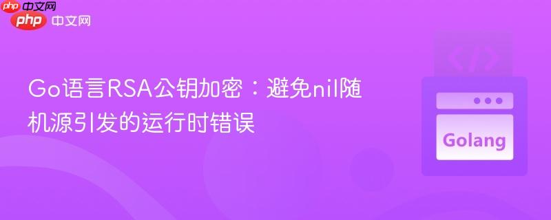 Go語(yǔ)言RSA公鑰加密：避免nil隨機(jī)源引發(fā)的運(yùn)行時(shí)錯(cuò)誤