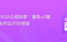 Go语言RSA公钥加密：避免nil随机源引发的运行时错误