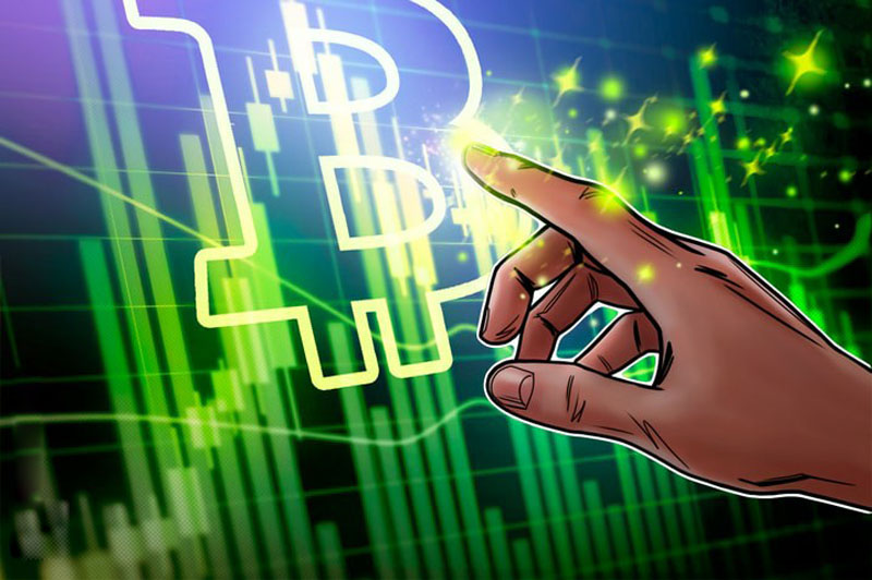 bitwise數(shù)據(jù)分析：僅在三個(gè)月內(nèi)新增48家比特幣（BTC）儲(chǔ)備企業(yè)