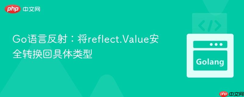 Go語言反射：將reflect.Value安全轉換回具體類型
