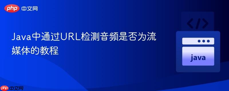 Java中通过URL检测音频是否为流媒体的教程