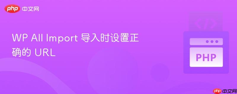 wp all im<em></em>port 导入时设置正确的 url