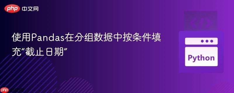 使用Pandas在分組數(shù)據(jù)中按條件填充“截止日期”
