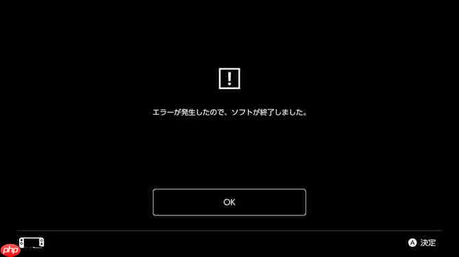 好评动作RPG《绝对魔权》NS版闪退 官方回应火速修复