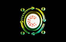 Casper Network是什么？发展历程、CSPR 代币经济与未来展望介绍